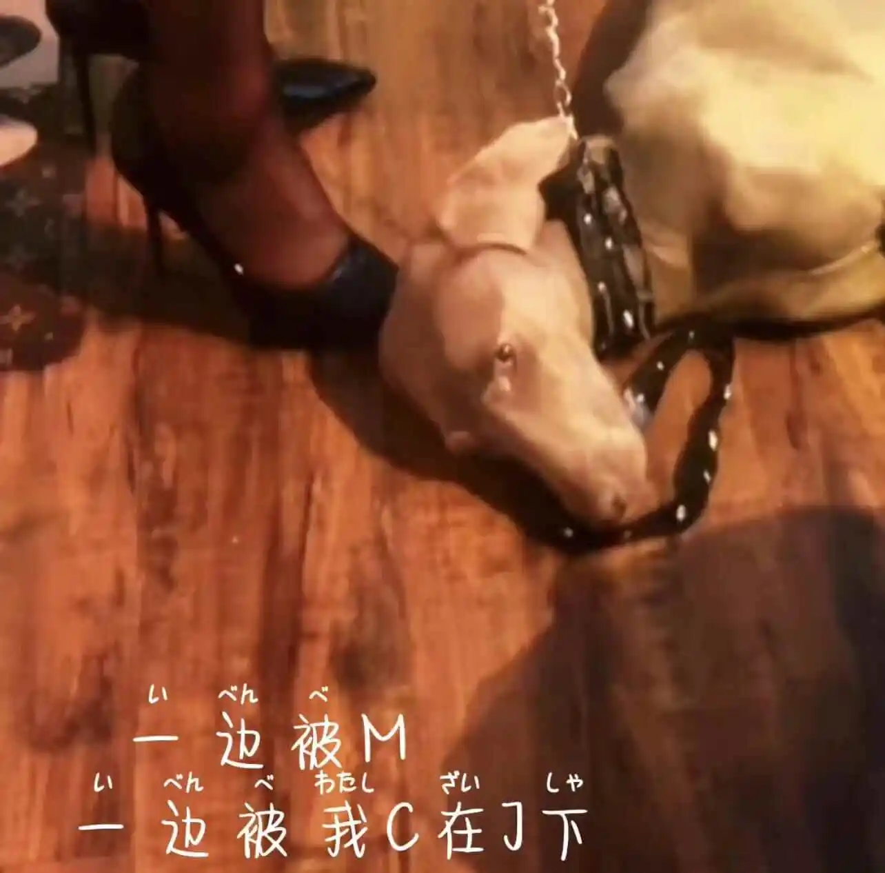 西檬之家字母圈的管教是什么意思? 一