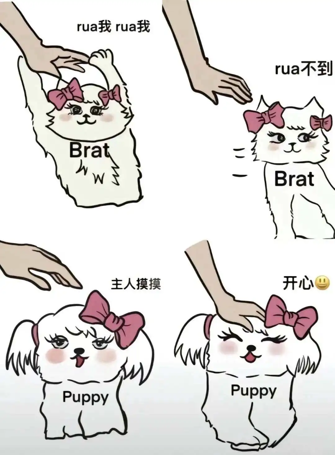 西檬之家字母圈新人如何入坑BDSM? 一