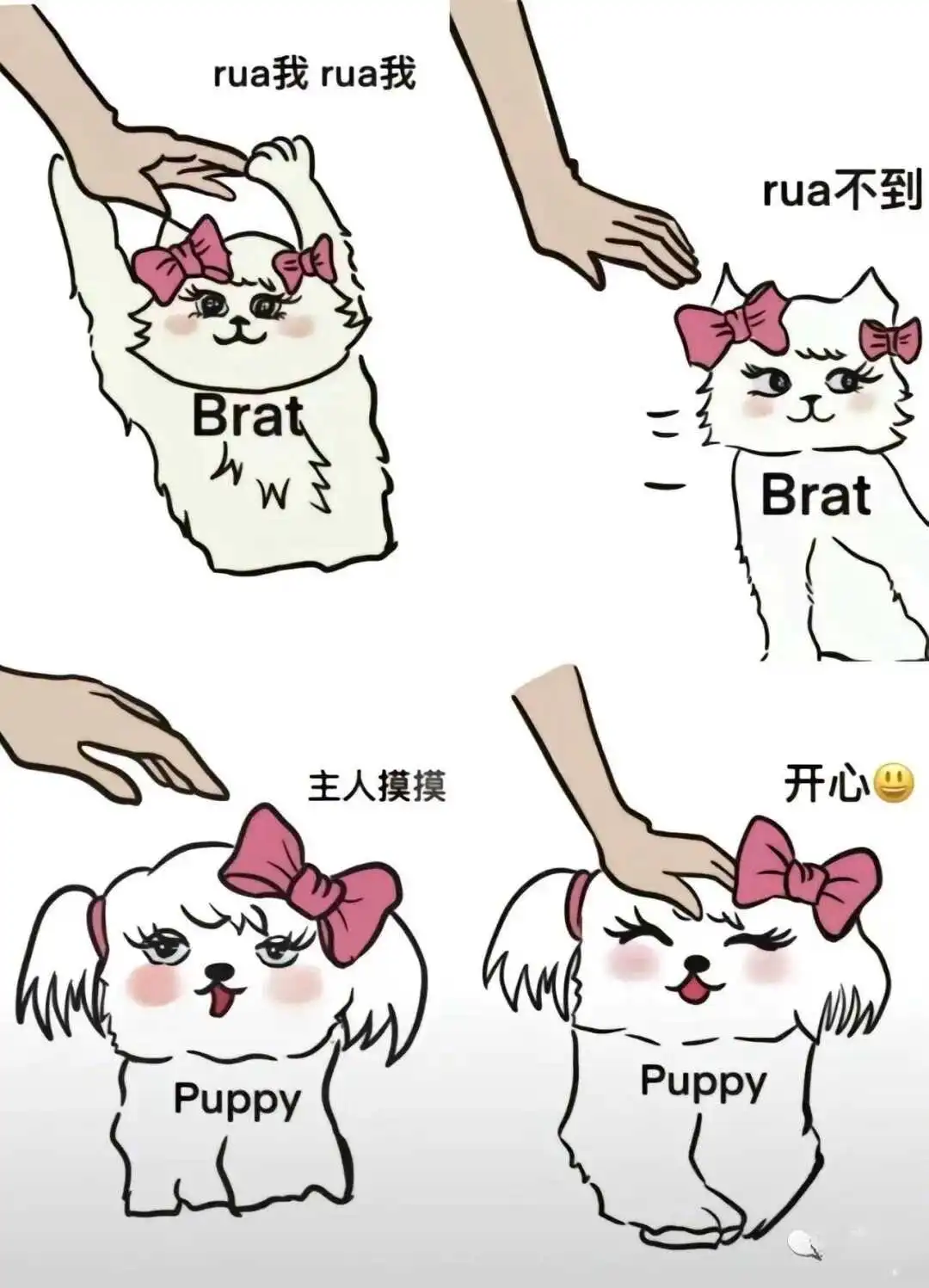 西檬之家字母圈的大圈和大有什么不同? 一
