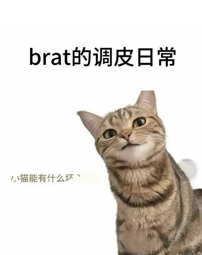 西檬之家恋足癖是什么?字母圈新人知识科普 一
