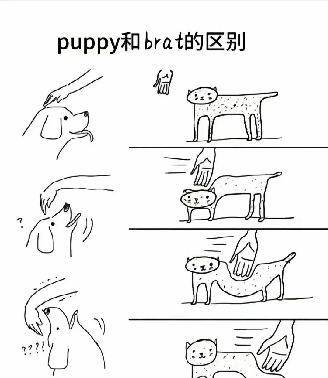 西檬之家BDSM中的TS是什么意思? 一