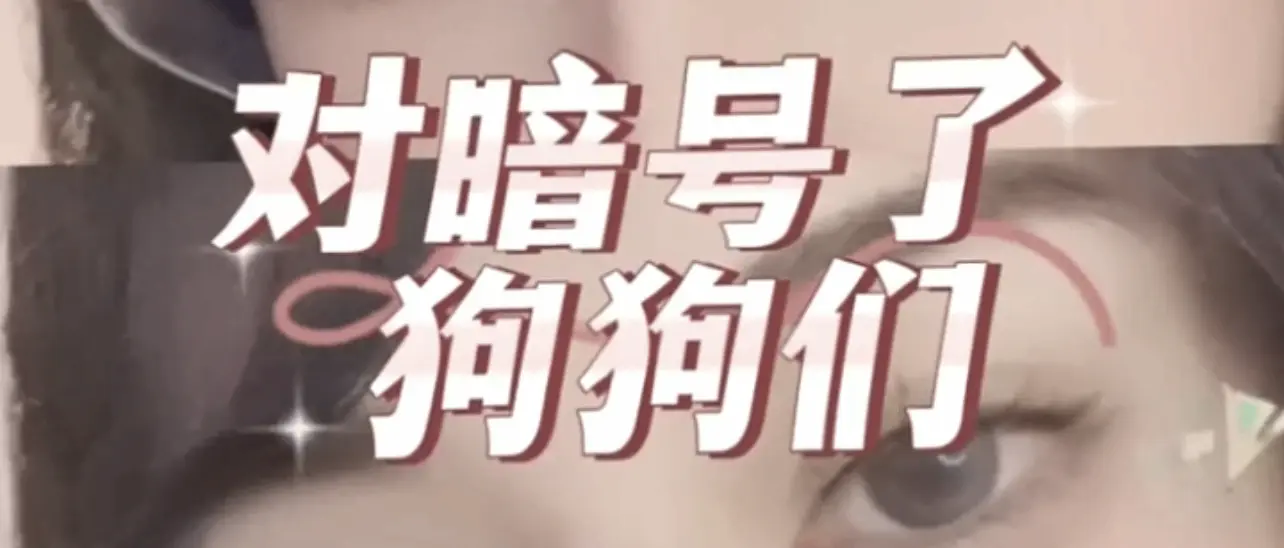 西檬之家TK是什么?字母圈挠痒痒玩法入门 一