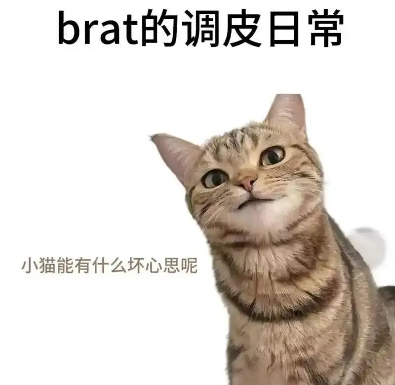 西檬之家CD变身:跨性装扮如何平衡身份与亲密关系 一